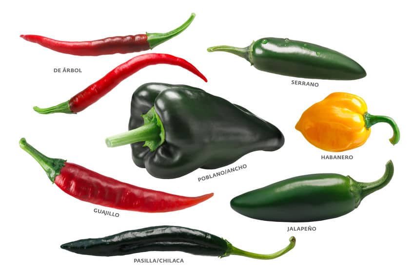 Mexican chile pepper identification, 7 different chile peppers