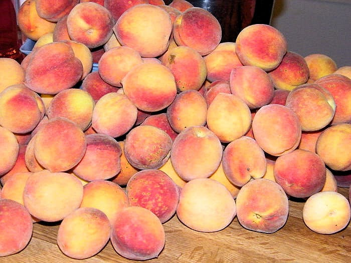 Pile of fresh peaches on counter top