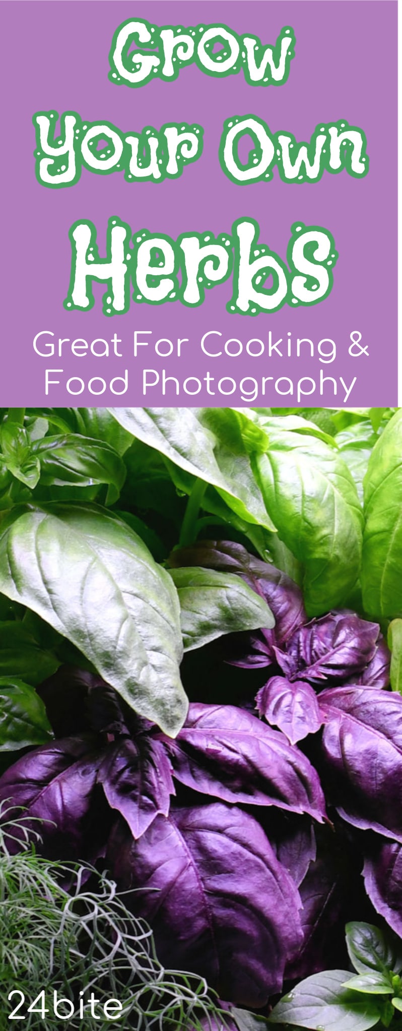 24Bite: Growing Your Own Herbs for Cooking and Food Photography