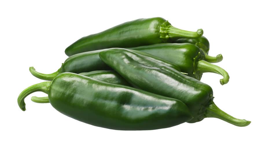 Several fresh anaheim chile peppers on a white background