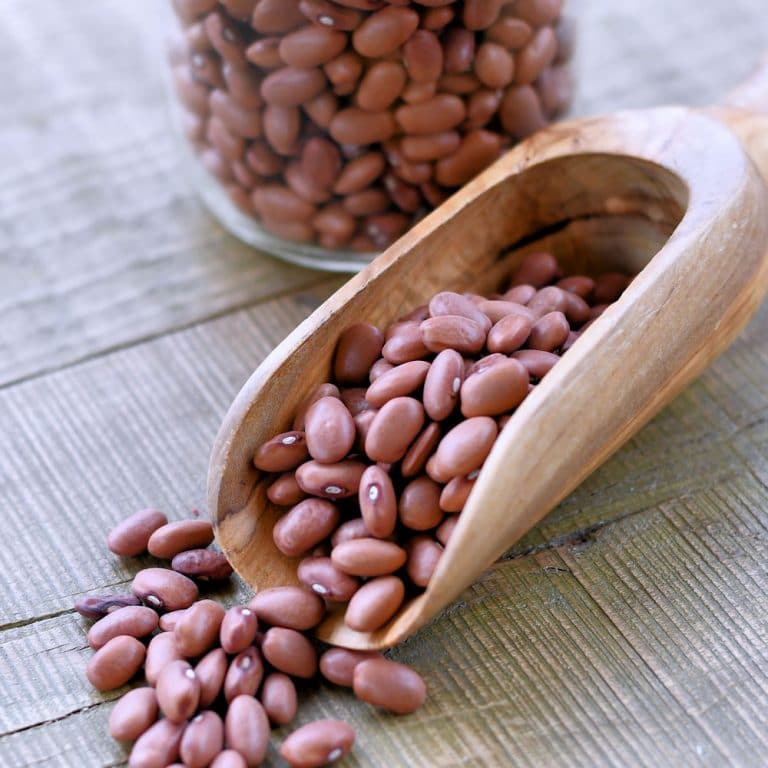 How to Cook Dry Red Beans Instant Pot 24Bite® Recipes