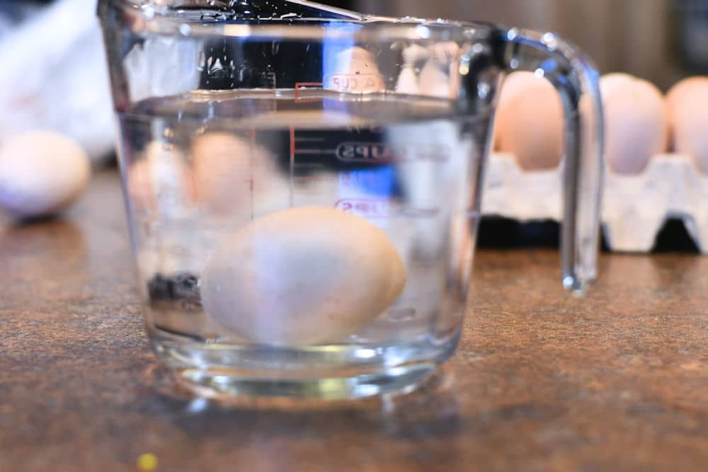 24Bite: Instant Pot Jumbo Boiled Eggs by Christian Guzman