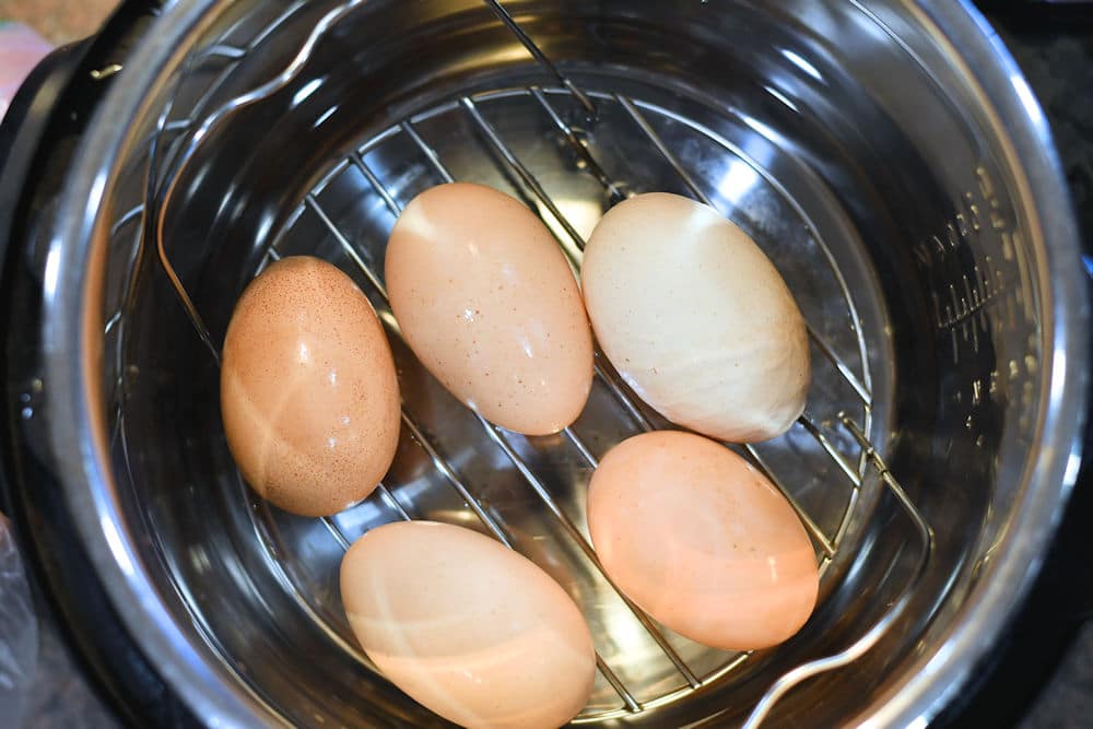 The Instant Pot Boiling Test That Doubles As An Egg Hack