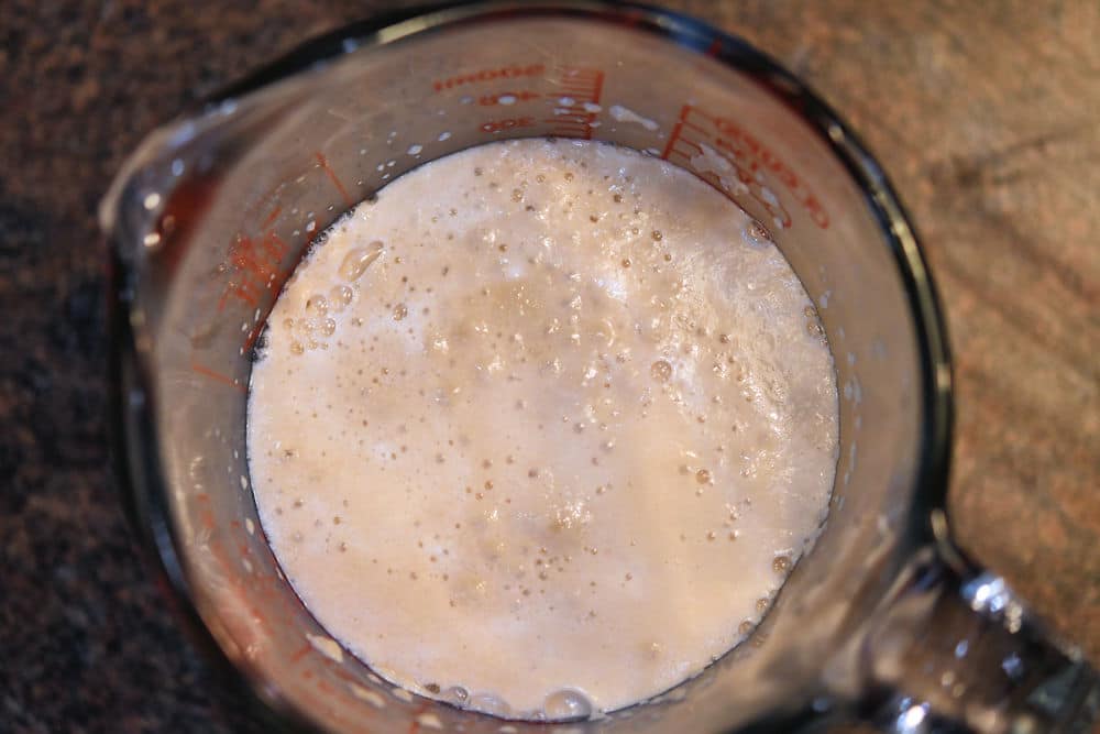 24Bite: Proofing the Yeast for Focaccia Bread