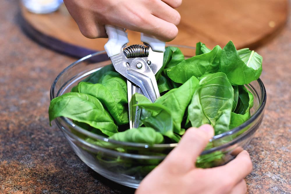 24Bite: Cutting up basil with kitchen shears
