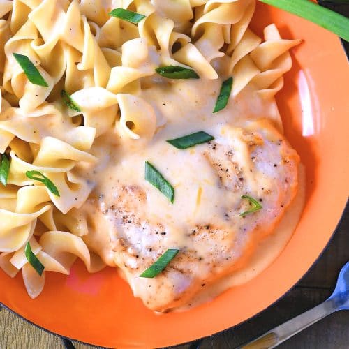 Easy Chicken Dinner with Creamy Cheese Sauce | 24Bite® Recipes