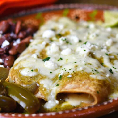 Spinach Enchiladas with Mushrooms | 24Bite® Recipes