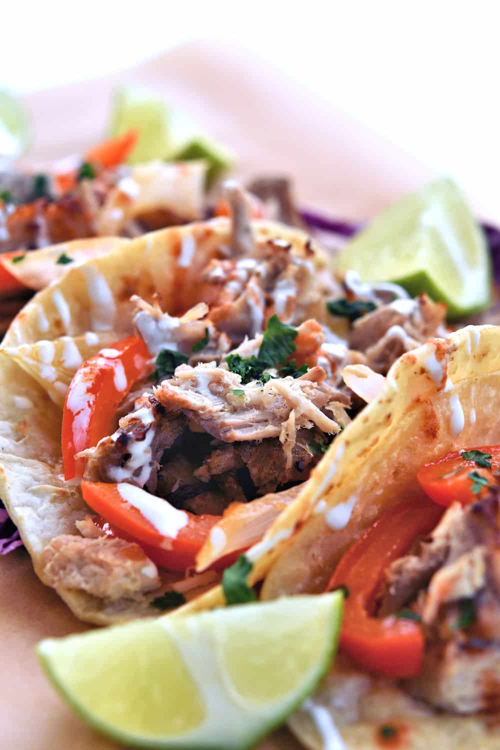 Pork Ribeye Roast Cuban Mojo Tacos | 24Bite® Recipes