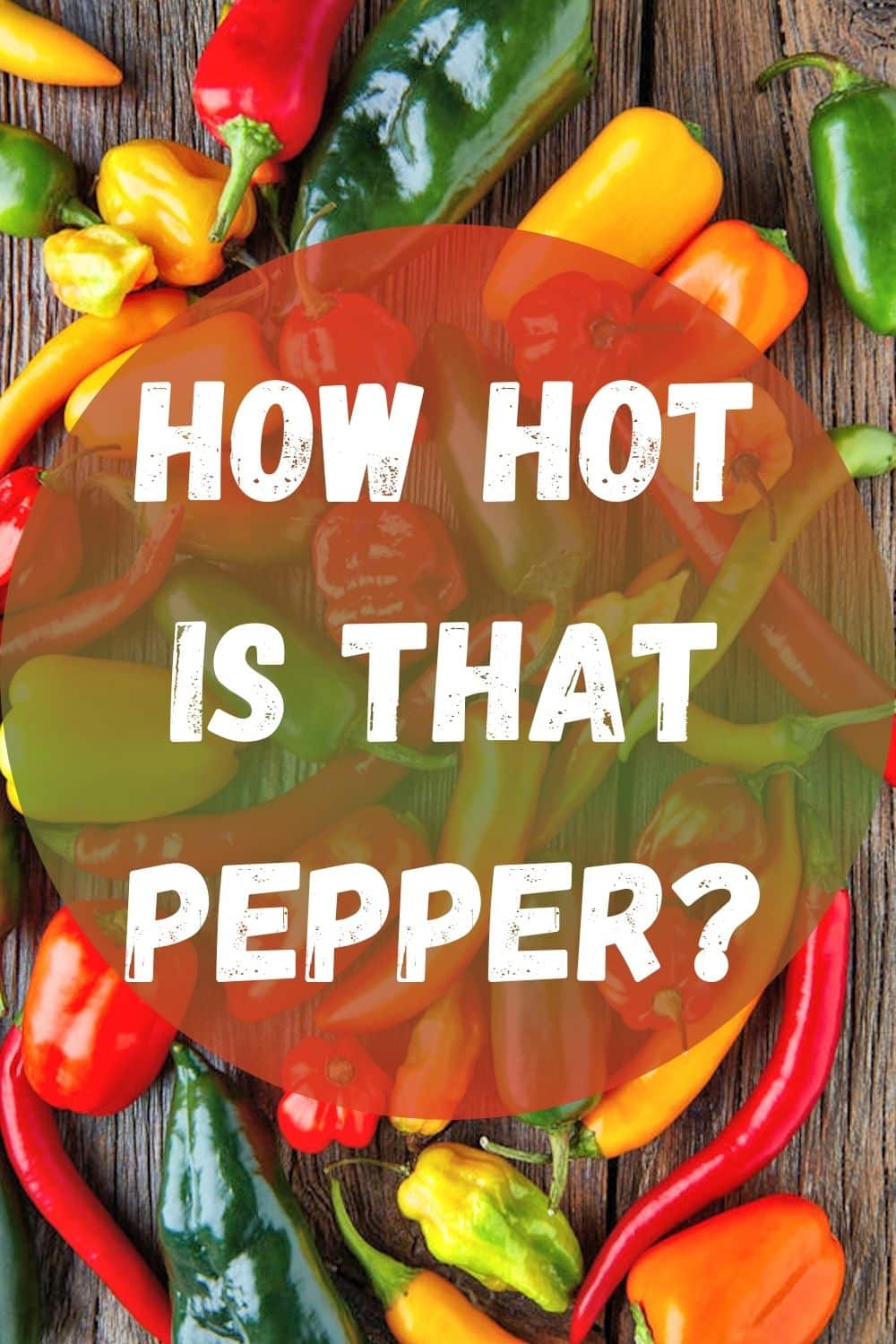 Graphic image with text "How Hot is That Pepper?" for pinterest