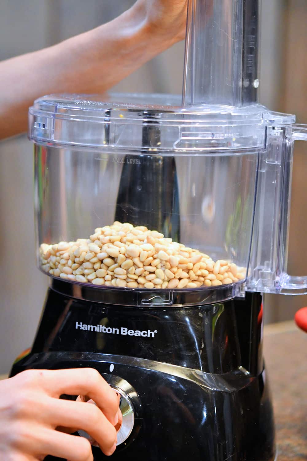 Processing pine nuts in food processor