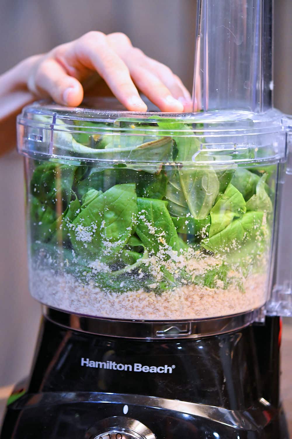 processing basil leaves in food processor