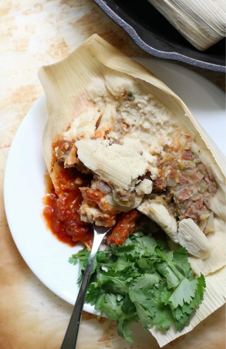 pinto bean tamales on a white plate with red sauce and cilantro leaves