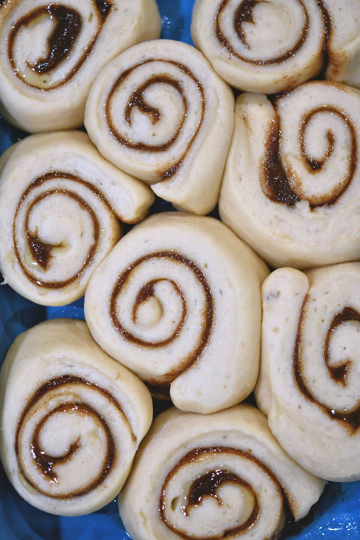 cinnamon rolls in baking pan, after the last rise and ready for the oven