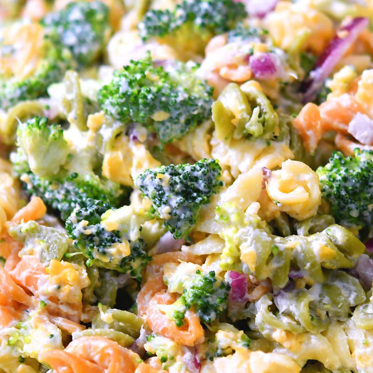 24Bite: Broccoli Cheddar Pasta Salad Recipe by Christian Guzman