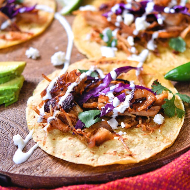 Coca Cola Carnitas Slow Cooker 24Bite® Recipes