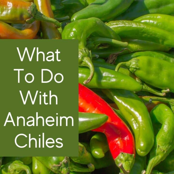 What To Do With Anaheim Peppers 24Bite® Recipes