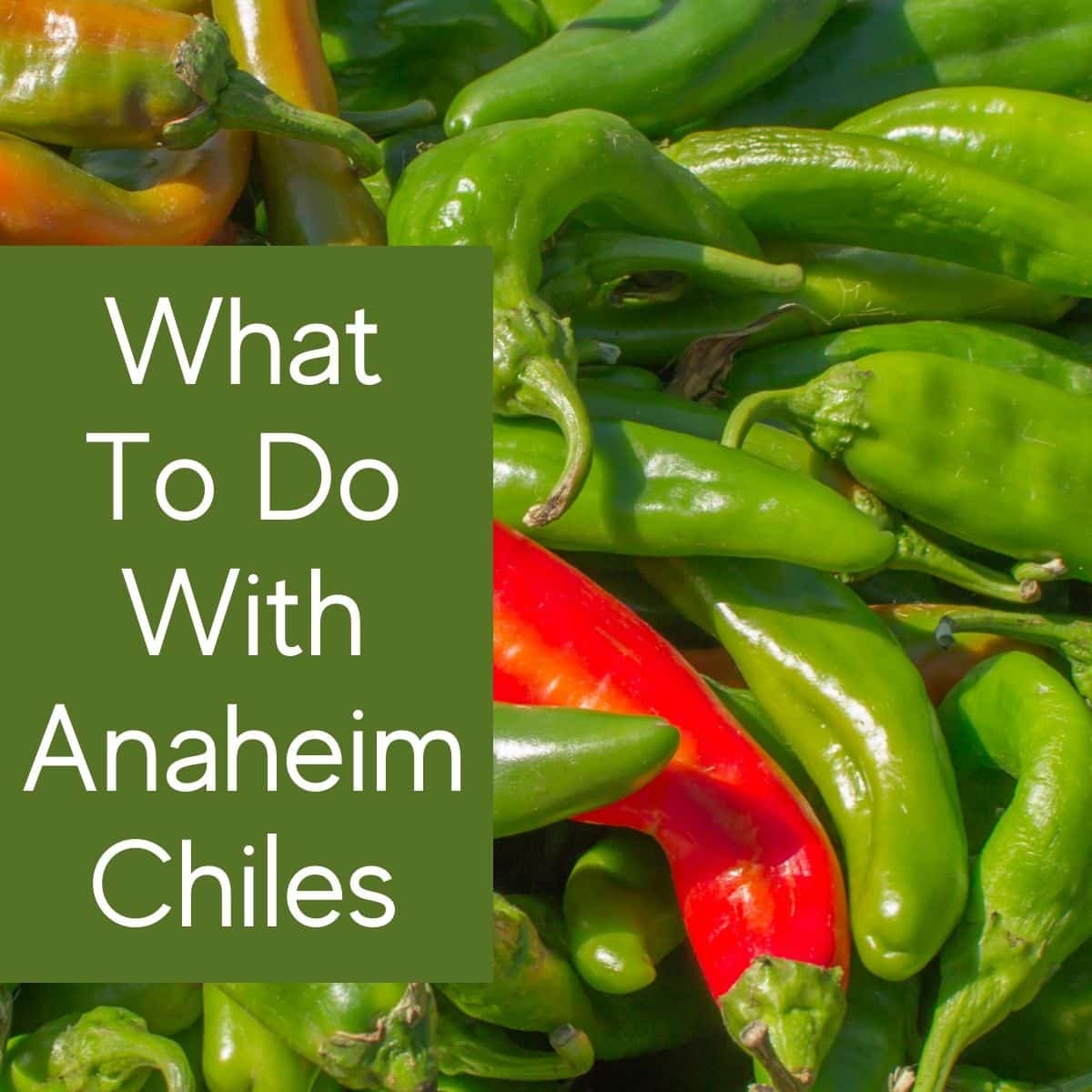 What To Do With Anaheim Peppers