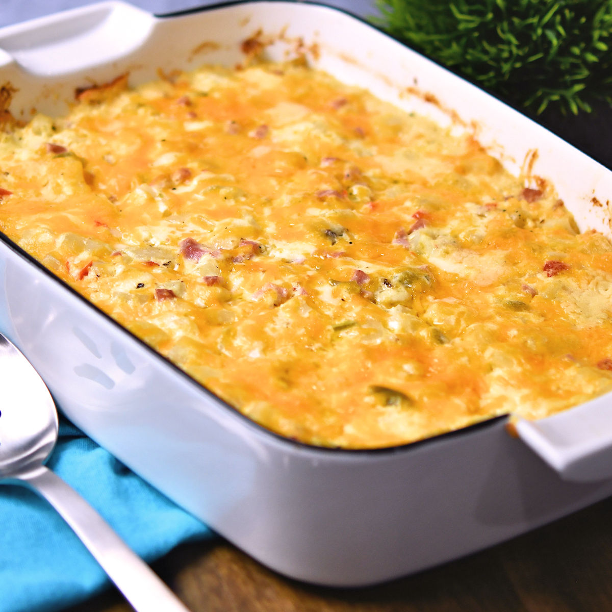 Cheesy potatoes in a rectangle baking dish, fresh from the oven.