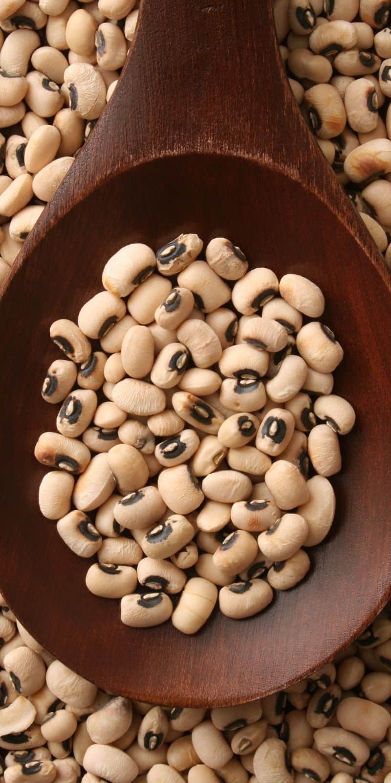 wooden spoon of dry black eyed peas