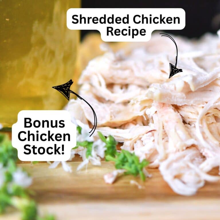 Instant Pot Shredded Chicken from Frozen