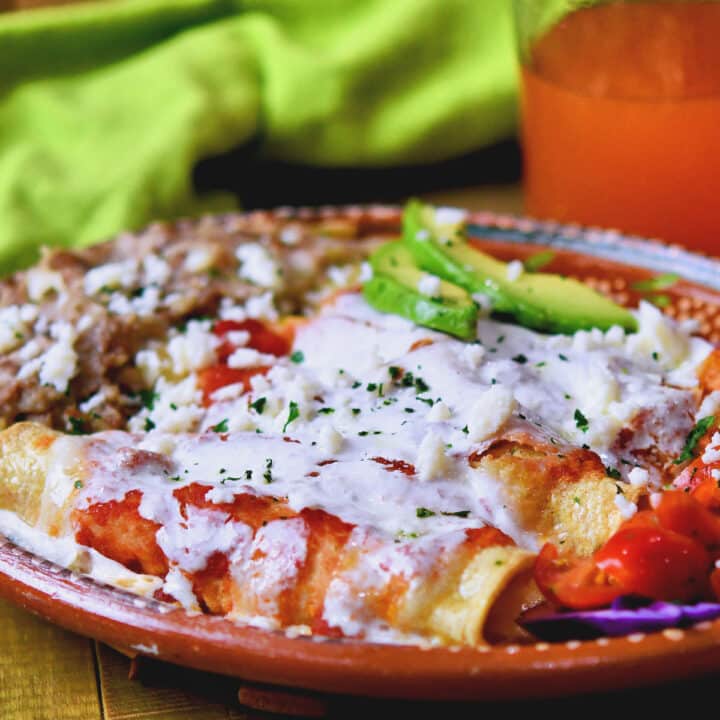 Sour Cream Enchiladas (Tacos de Jocoqui) | 24Bite® Recipes