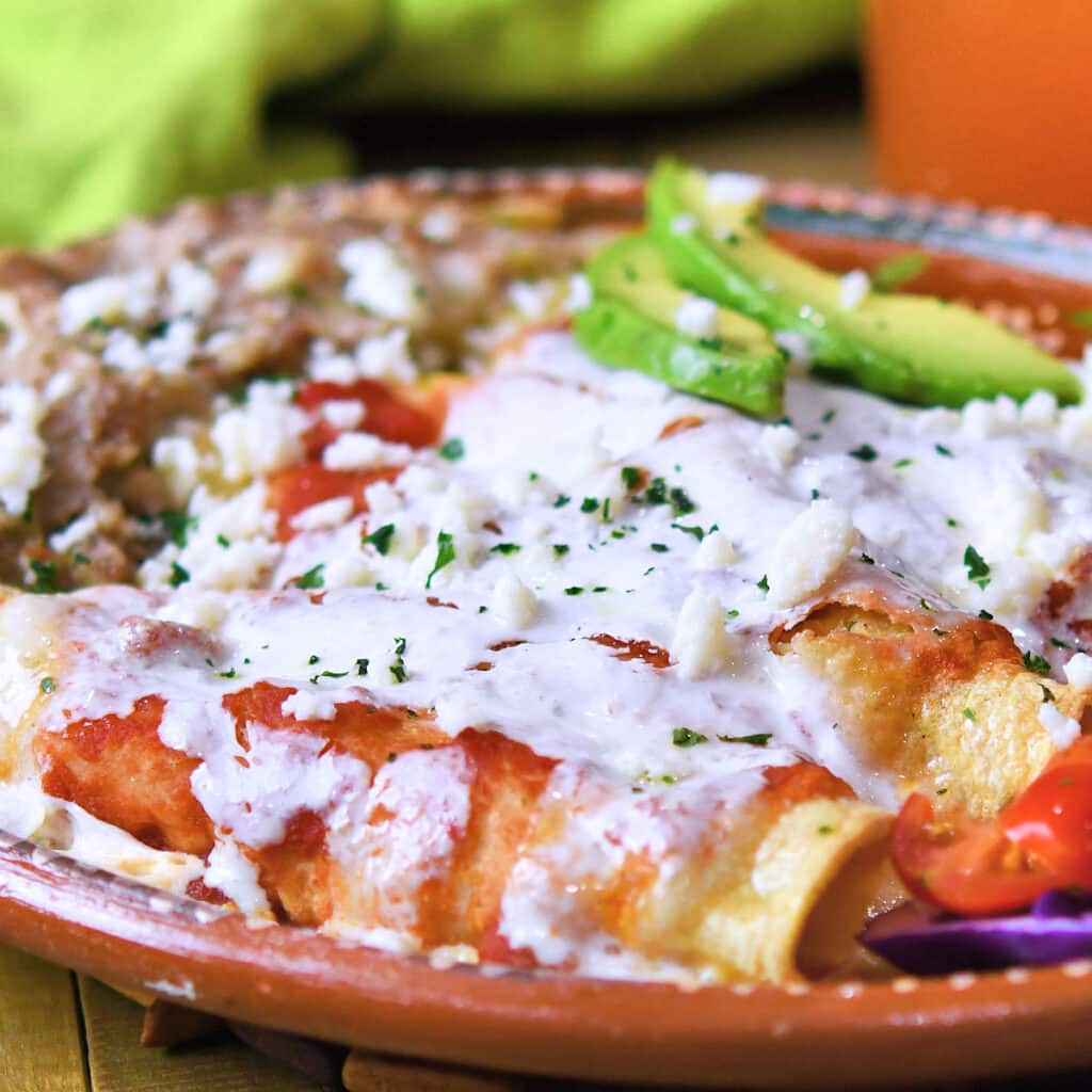 Sour Cream Enchiladas (Tacos de Jocoqui)