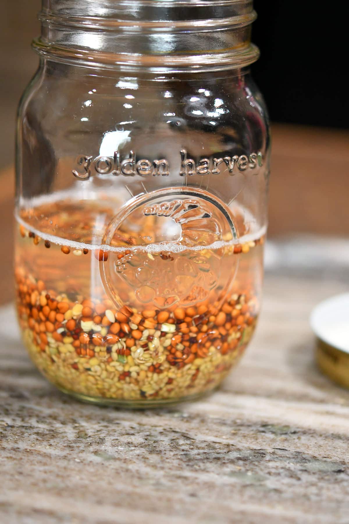 A small glass jar with sprout seeds covered in water