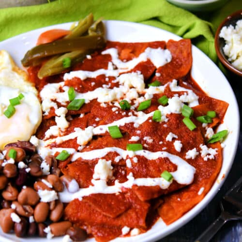 Porto Psykologisk Banzai Chilaquiles Rojos Authentic Mexican | 24Bite® Recipes