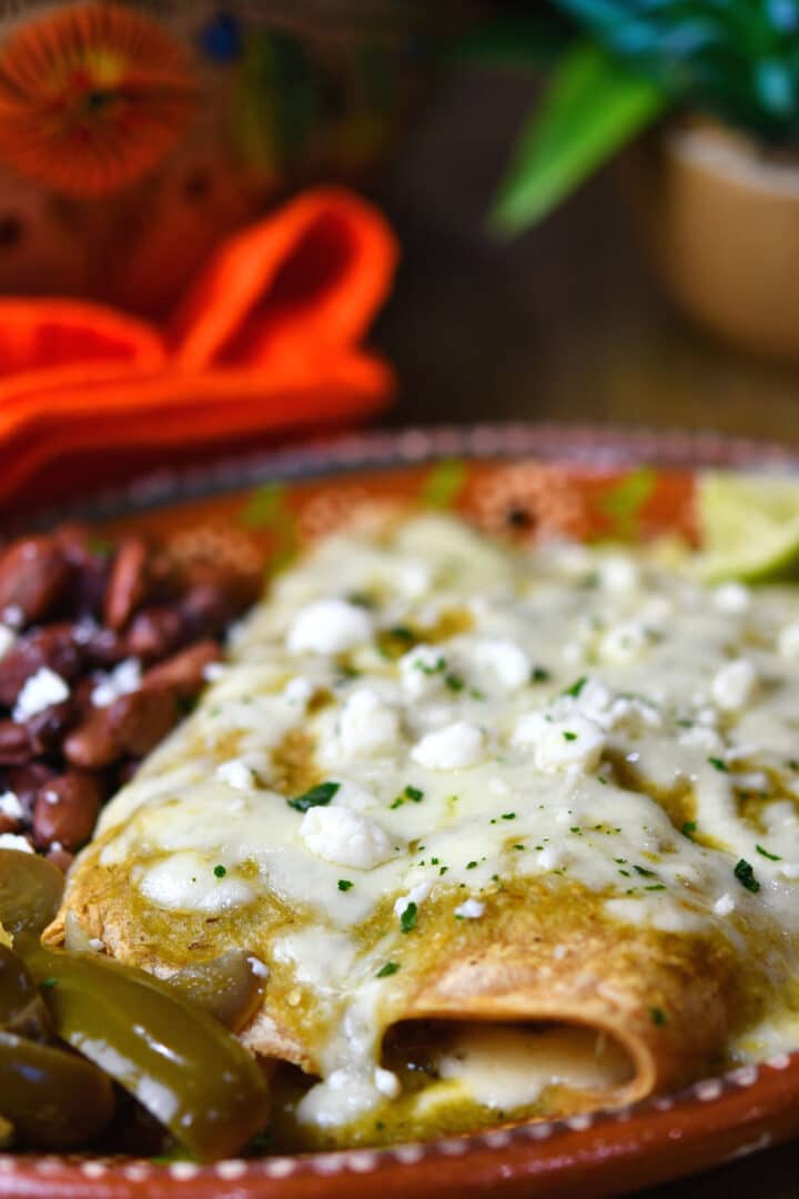Spinach Enchiladas with Mushrooms 24Bite® Recipes