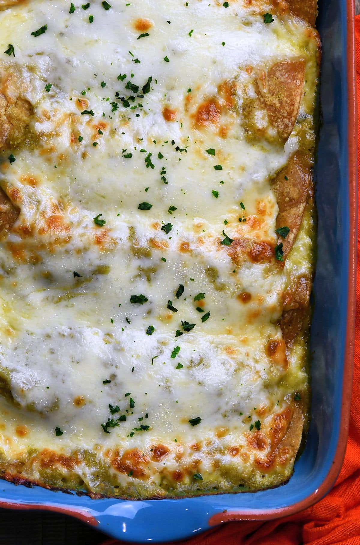 vegetable enchiladas in a baking pan, fresh out of the oven