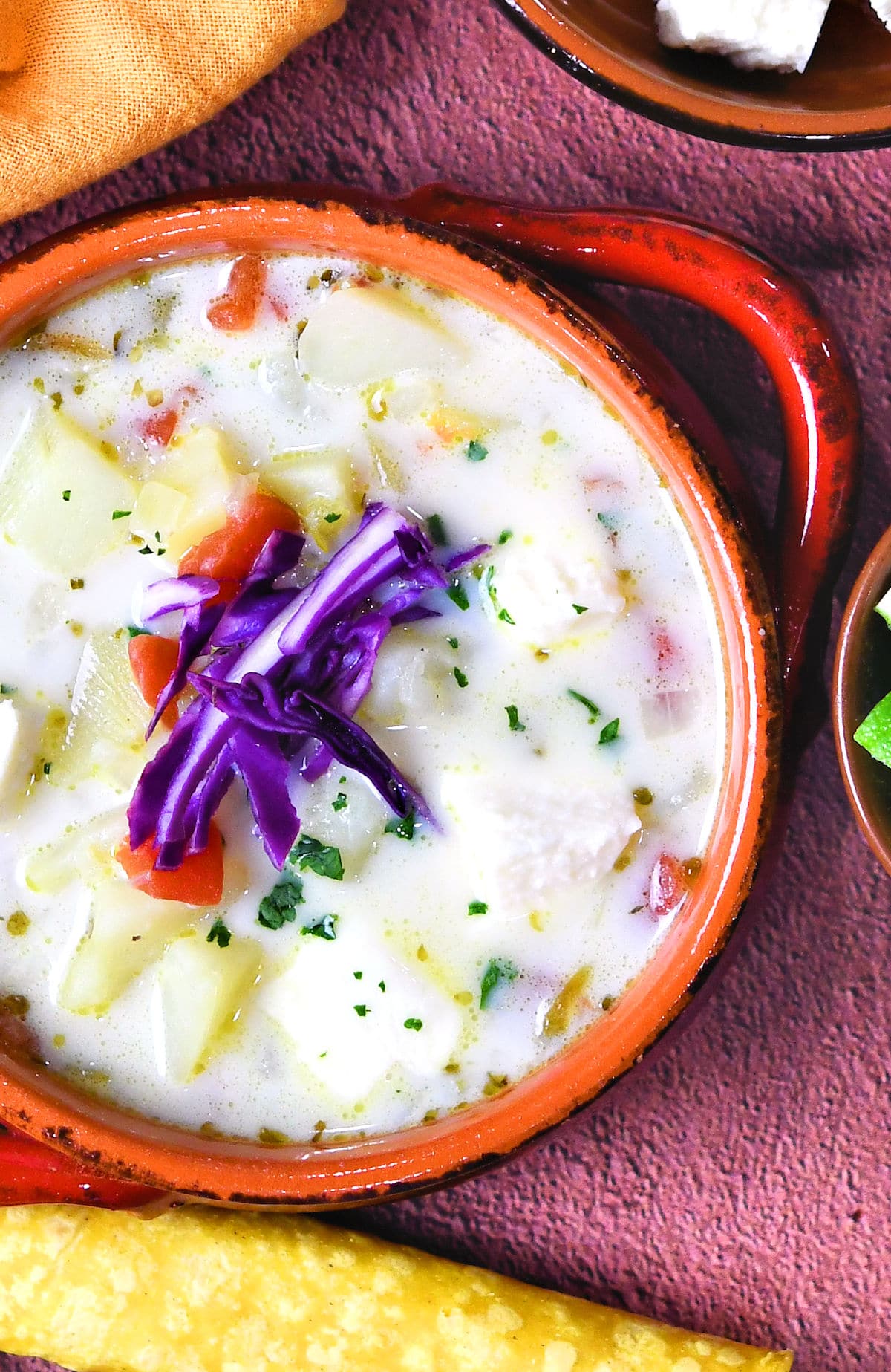 closeup of Caldo de Queso Mexican Potato Cheese Soup