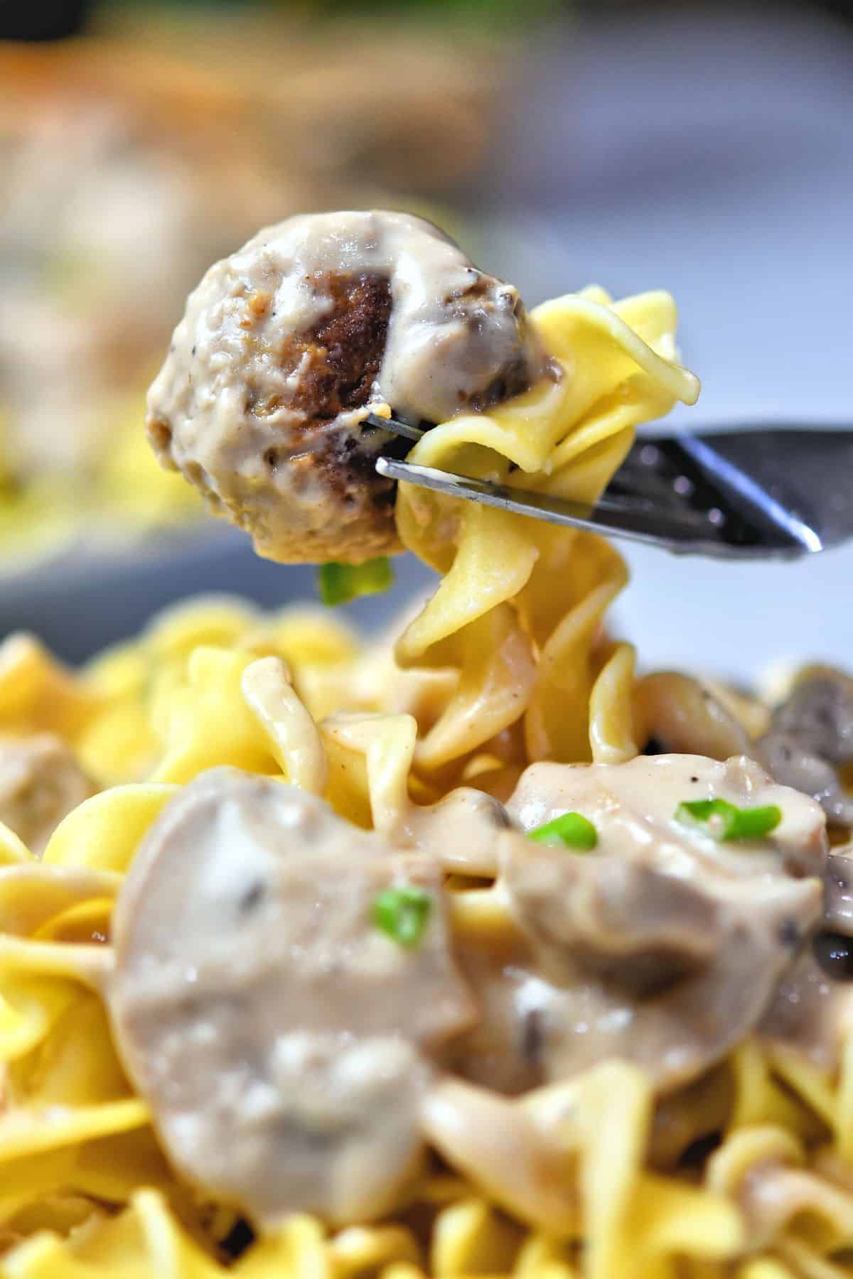 closeup of fork with a meatball and a little pasta