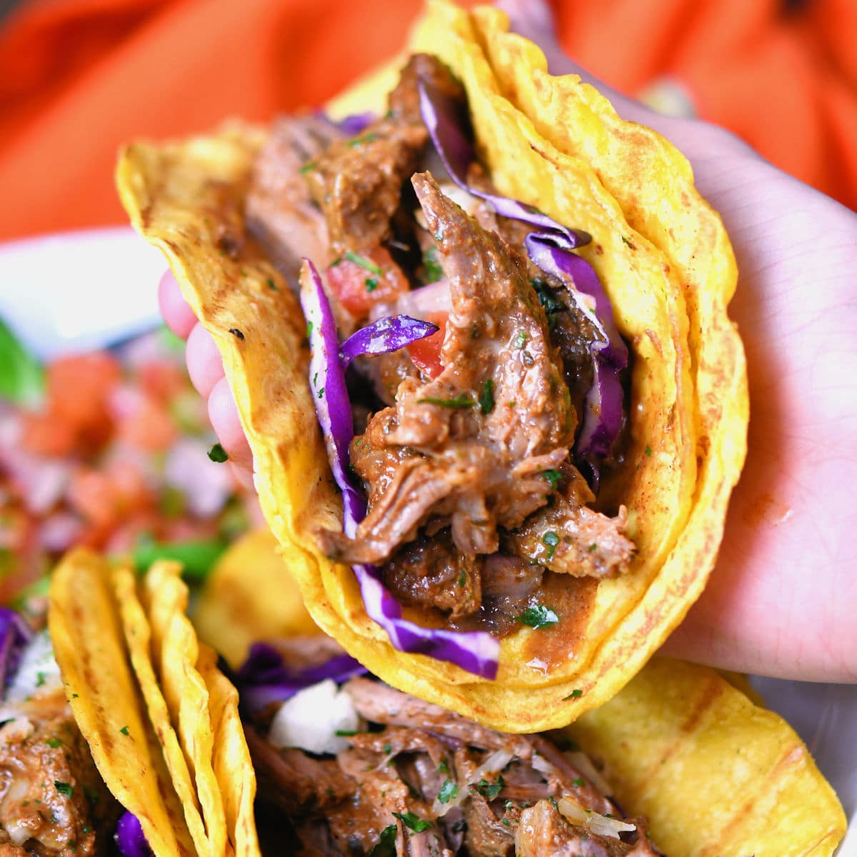 Mexican shredded beef in double corn tortillas with pico and red cabbage.