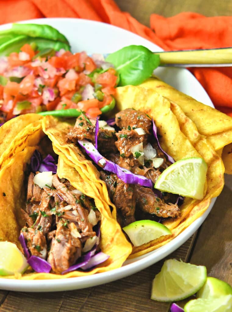 Mexican Shredded Beef with Green Chiles | 24Bite® Recipes