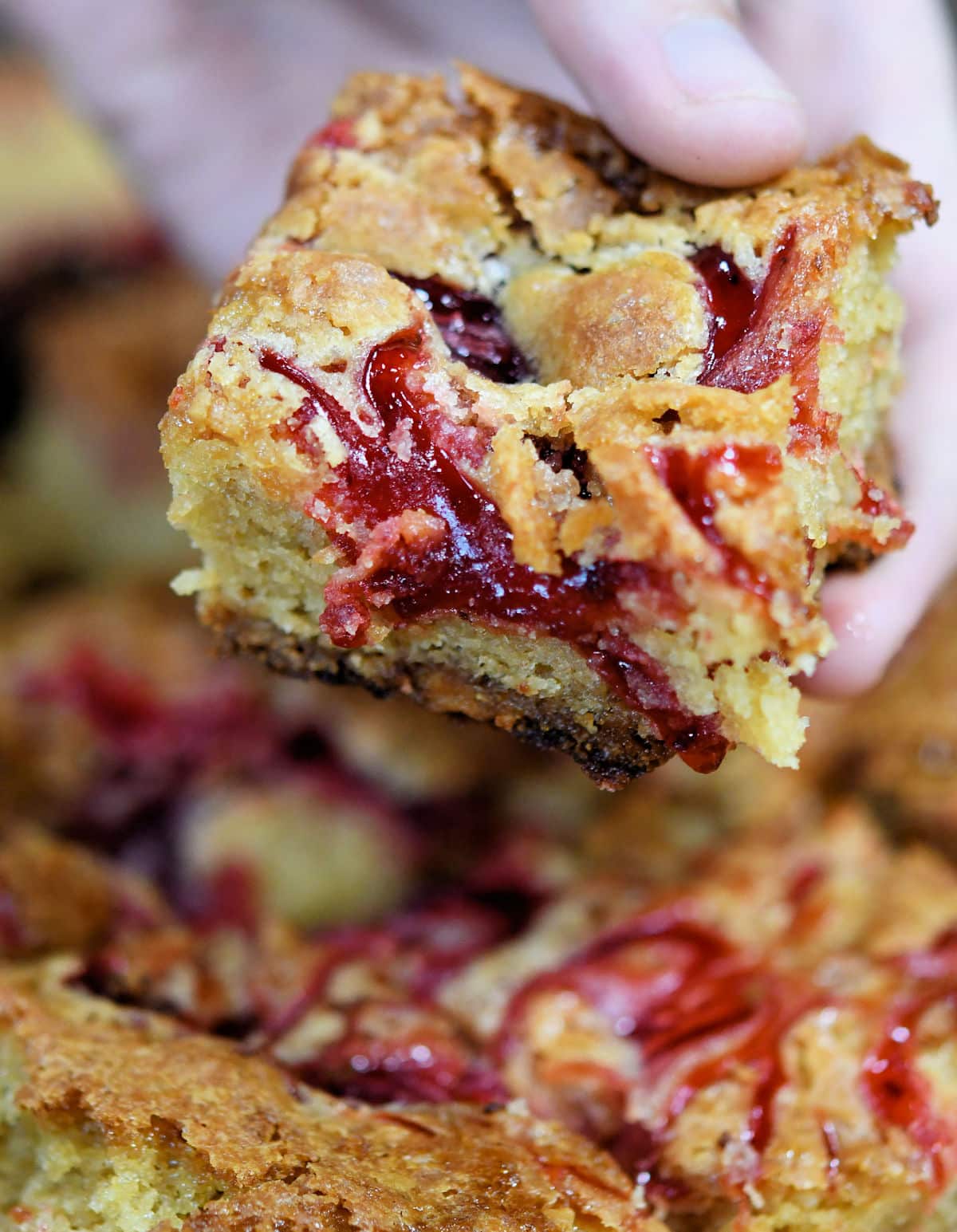close up of Christian Guzman holding one individual raspberry blondie.