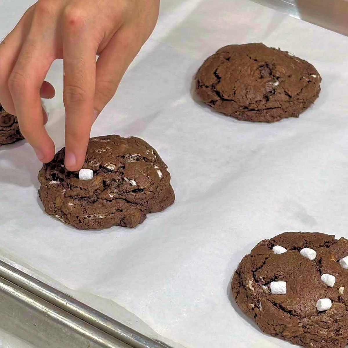 add mini marshmallows to the tops of the chocolate cookies while still warm