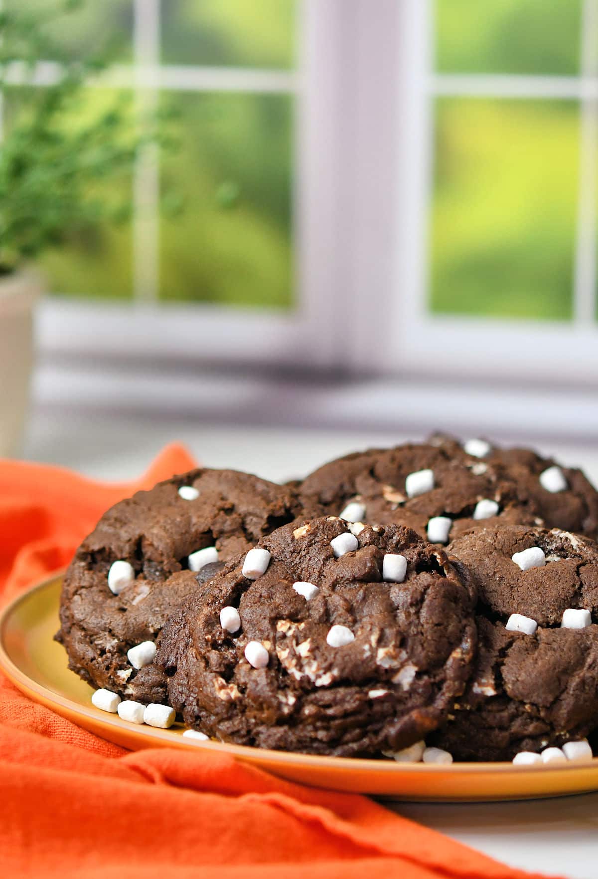Marshmallow Chocolate Cookies in front of a window on a bright sunny day