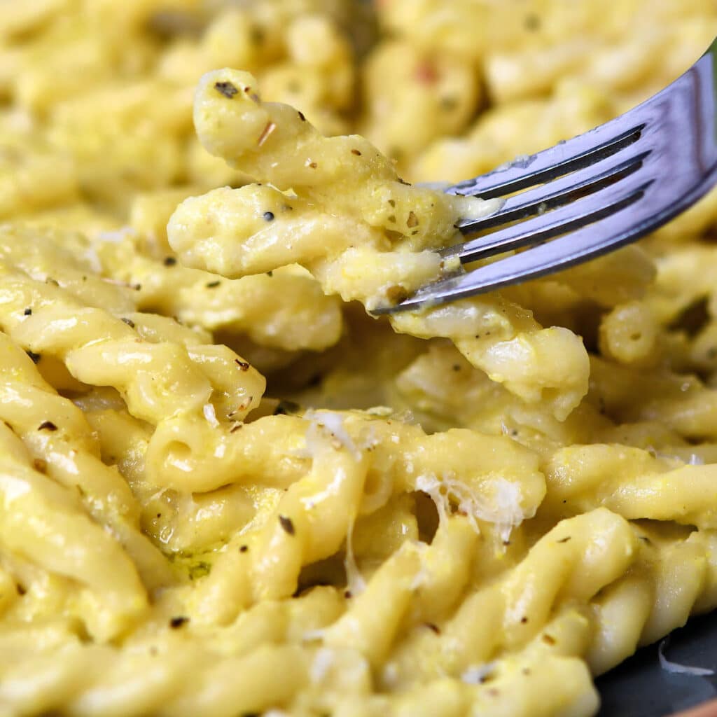 Summer Squash Alfredo Pasta recipe from 24Bite